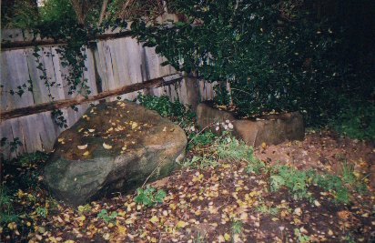 Stones In Aldrington Churchyard