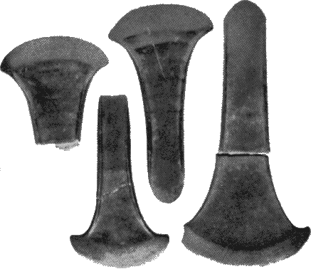 Bronze Axes from Combe Hill Barrow