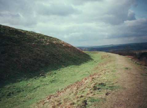 The ramparts on the north side of Cissbury