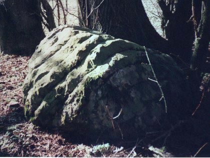 A Stone Near Granny's Belt, Stanmer