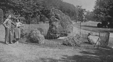 Photograph showing the face on the Goldstone