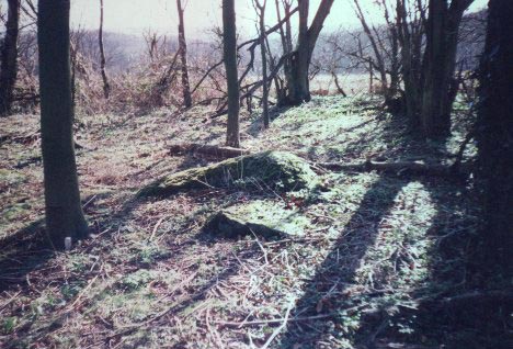 Tops Of Some Of The Stones At Rocky Clump Near Stanmer