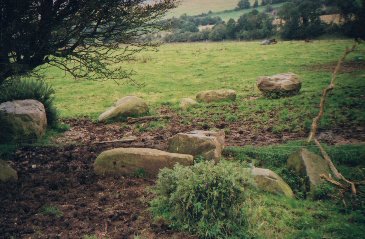 Some Of The Stones Around A Pond North Of Standean